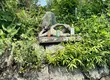 漂流龙圣株式会社 6